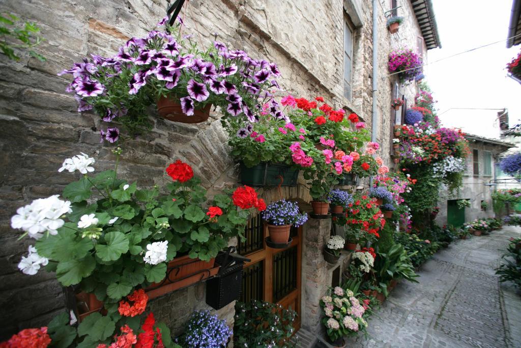 Hotel Palazzo Brunamonti بيفانيا المظهر الخارجي الصورة